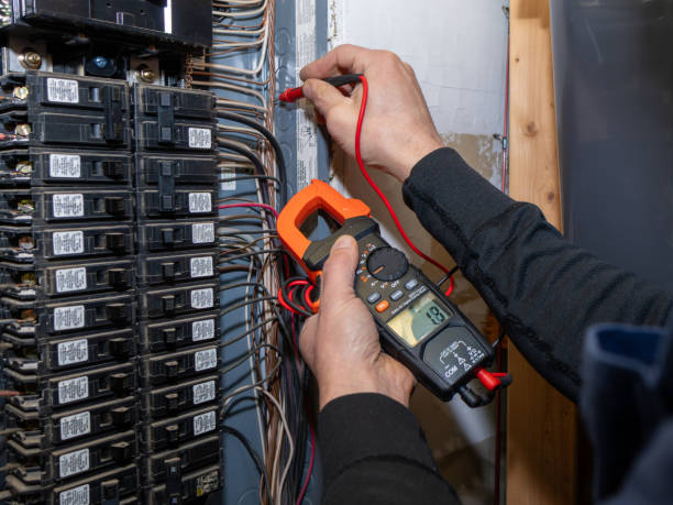 Best Electric Panel Repair  in Greenvle, IL