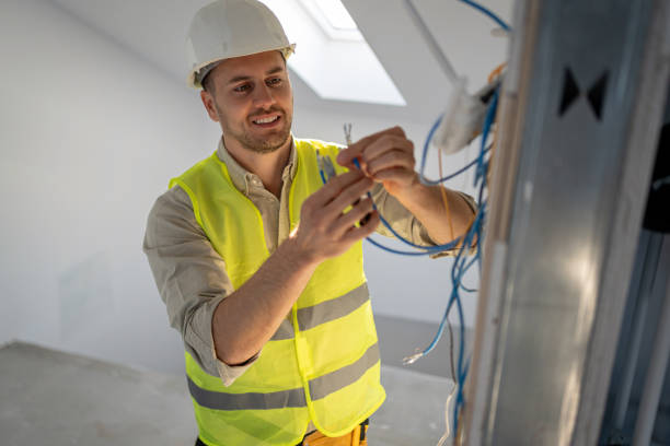 Best Electrician for Home Renovation  in Greenvle, IL